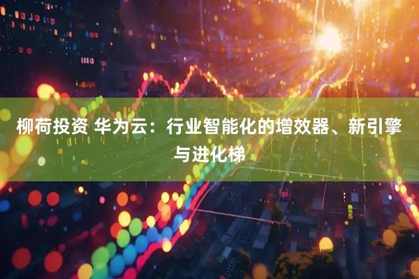 柳荷投资 华为云：行业智能化的增效器、新引擎与进化梯