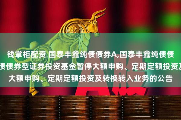 钱掌柜配资 国泰丰鑫纯债债券A,国泰丰鑫纯债债券C: 关于国泰丰鑫纯债债券型证券投资基金暂停大额申购、定期定额投资及转换转入业务的公告
