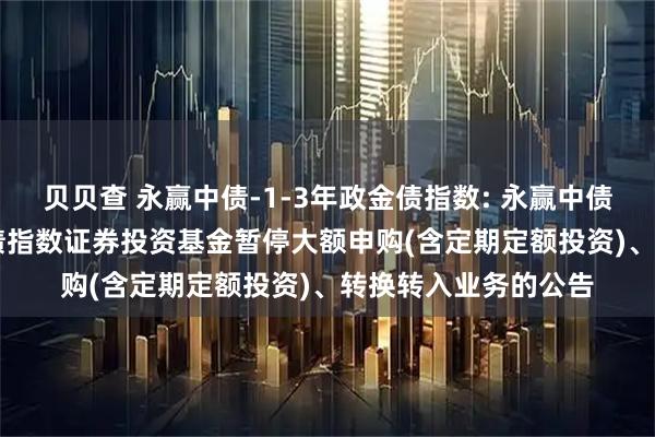 贝贝查 永赢中债-1-3年政金债指数: 永赢中债-1-3年政策性金融债指数证券投资基金暂停大额申购(含定期定额投资)、转换转入业务的公告
