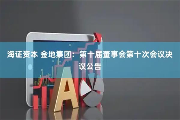 海证资本 金地集团：第十届董事会第十次会议决议公告